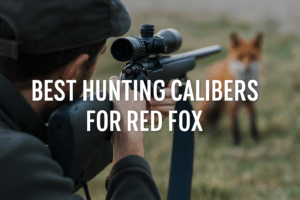 Best Hunting Calibers for Red Fox: A Comprehensive Comparison